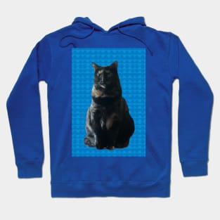 Sweet Kitty on Blue Hoodie